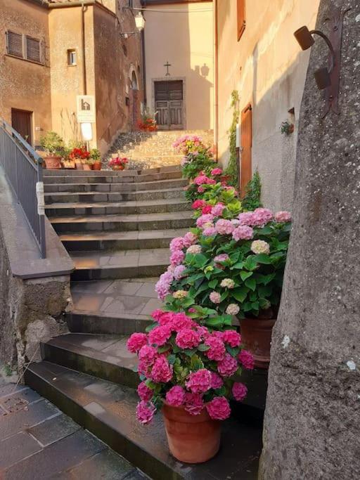 Casa Il Girasole Villa Boccheggiano Kültér fotó
