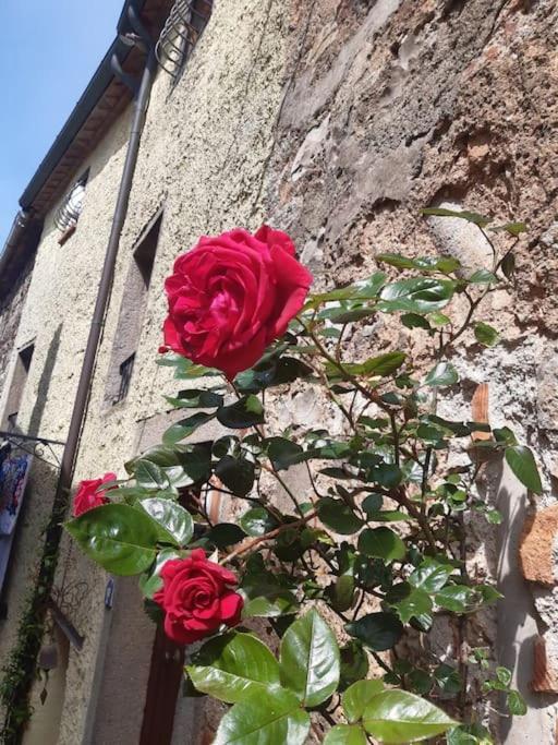Casa Il Girasole Villa Boccheggiano Kültér fotó